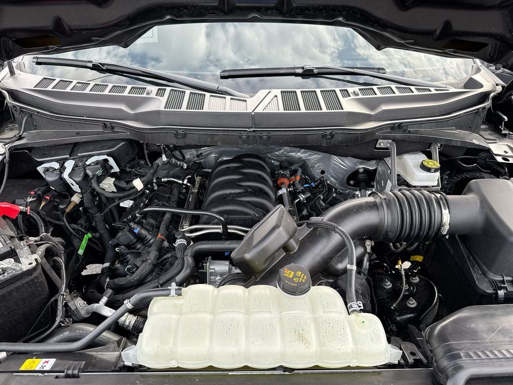 2025 Ford F-150 XL