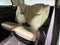 2019 Mercedes-Benz GLS GLS 450 4MATIC®