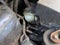 2013 Scion xD Base