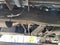 2001 Lincoln Navigator 4WD